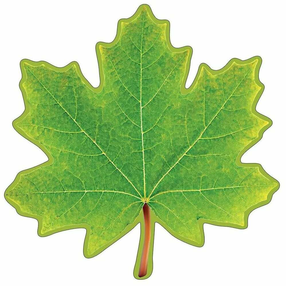 Листочки. Добавь листочек. Зеленый листик. Добавь листочек. Добавь листочек.