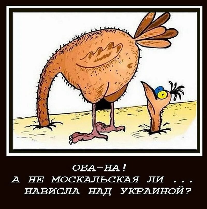 Мозгоклюй