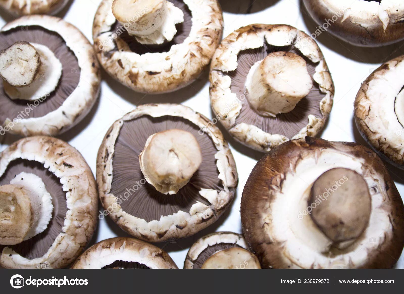 Why champignons in the section (inside) are black, blacken when frying: reasons,