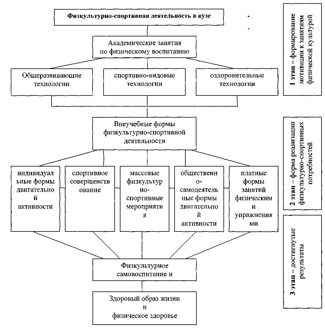 Организационные формы физкультурно-спортивной деятельности.. Схема организации физкультурно спортивной работы. Классификация новых видов физкультурно спортивной деятельности.. Блок схема типы структура физкультурного занятия.