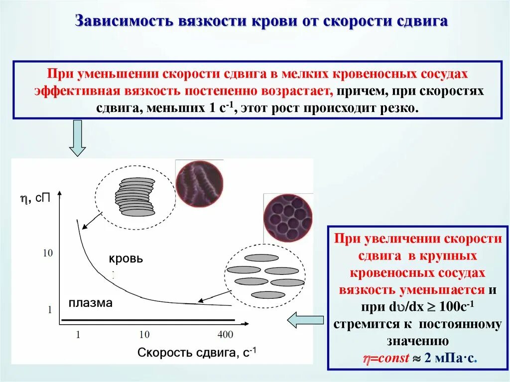 Вязкость крови вязкости воды. Вязкость крови. Зависимость вязкости от скорости. Вязкость крови и скорость. Зависимость вязкости от скорости сдвига.