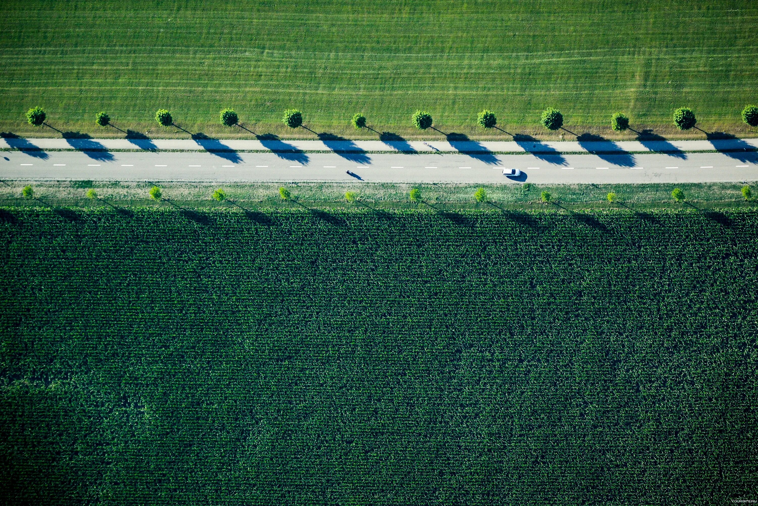 Wide green. Поле вид сверху. Сельскохозяйственные поля вид сверху. Зеленое поле вид сверху.