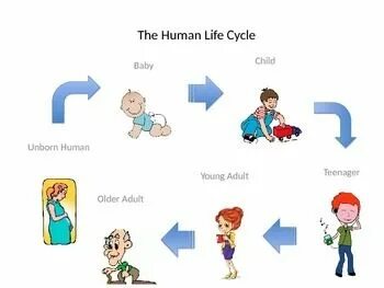 Humans lives