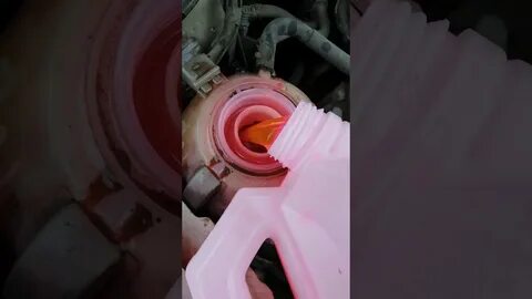 Замена антифриза поло