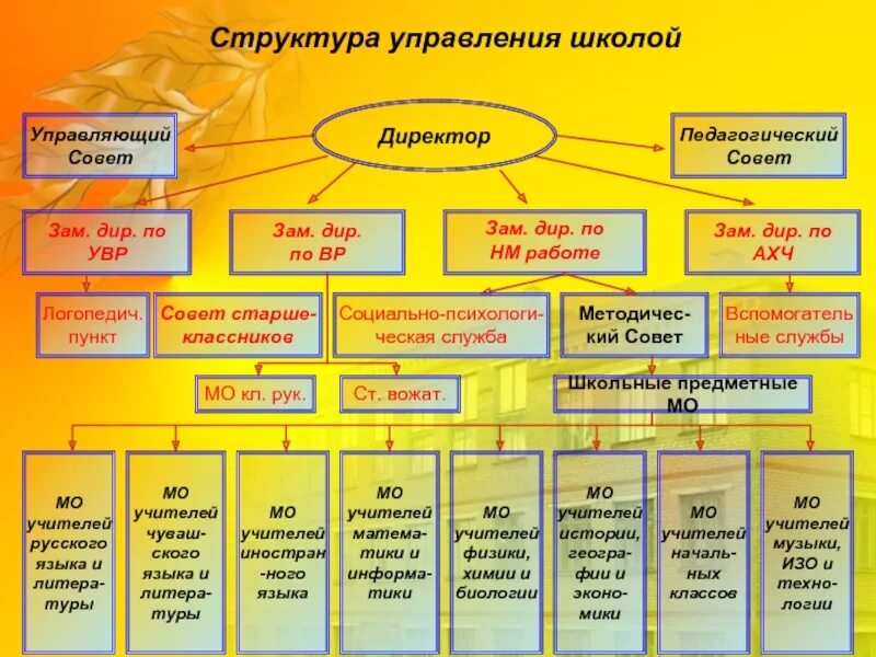 УВР В школе структура. Название МО В школе. Зам Дир. Зам Дир по УВР расшифровка.