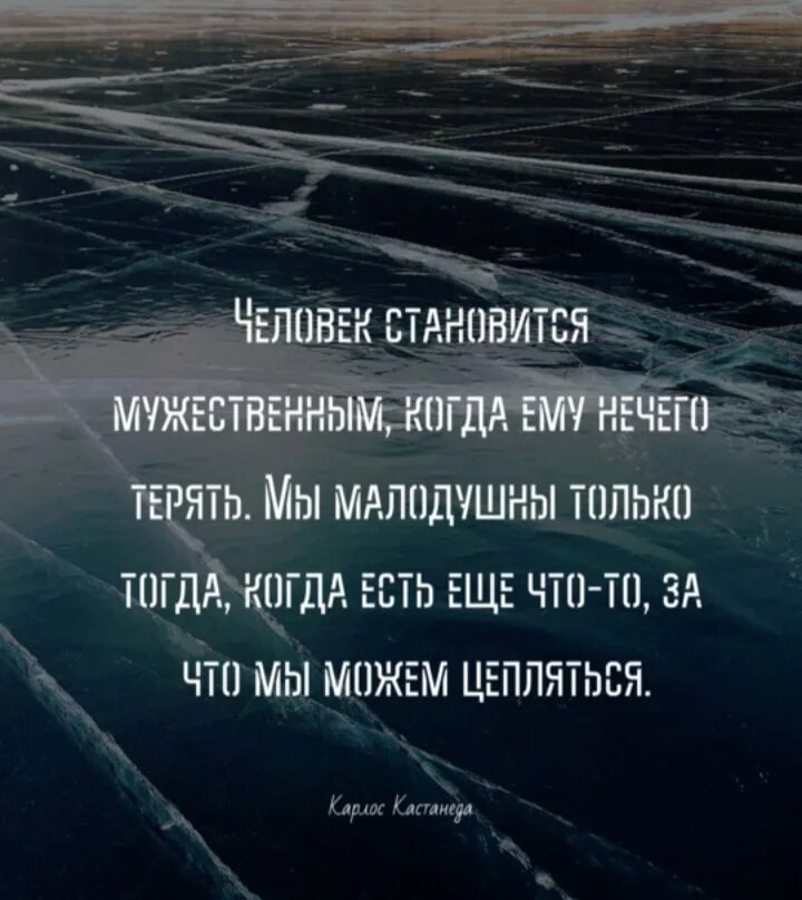 Когда нечего сказать цитаты. Нечего терять цитаты. Когда человеку нечего терять он поневоле становится смелым. Когда нечего терять цитаты. Человеку тогда становится человеком