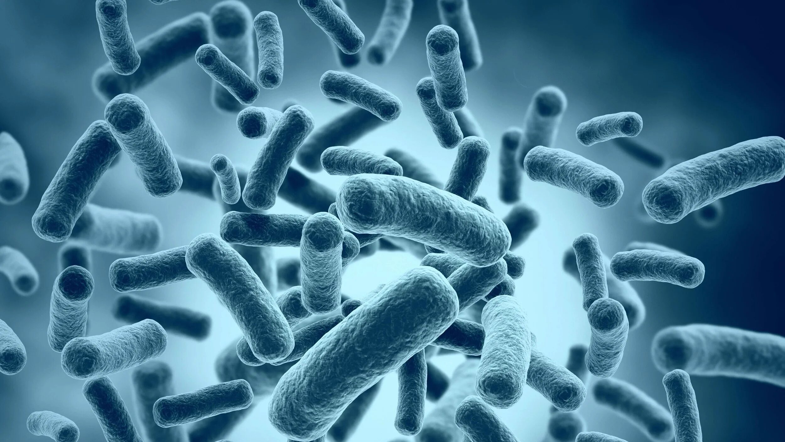 патогенные микробы микробиология. патогены 12. патогены 12. патогены 12. кишечная палочка escherichia coli.