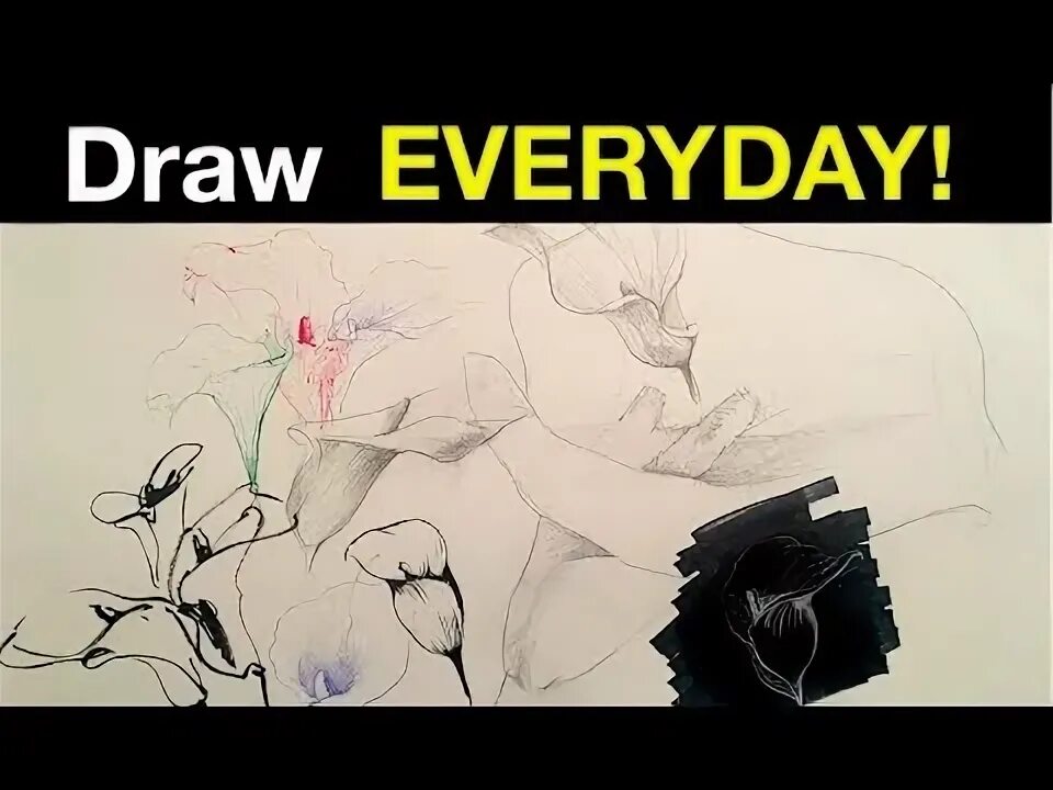 I drew every day. Every day drawing.