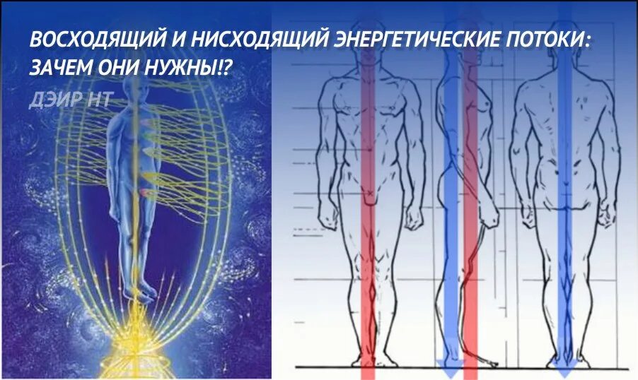 Нисходящий человек. Восходящий и нисходящий потоки. Восходящие и нисходящие энергетические потоки. Восходящий и нисходящий потоки энергии в теле человека. Энергетические потоки человека.