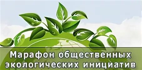 Проект экологические инициативы