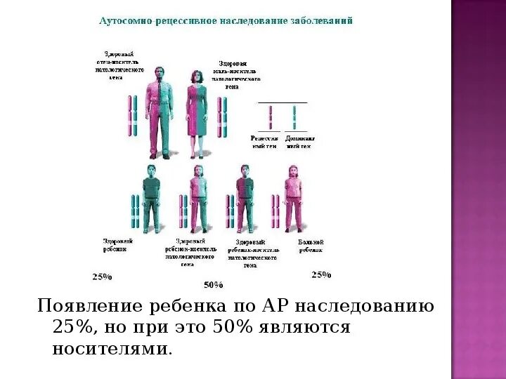 Синдром Жильбера принцип наследования. Синдром Жильбера схема наследования. Аутосомно-рецессивный Тип наследования. Синдром Жильбера передается по наследству. Болезни по наследству от матери