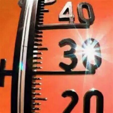 Вернуться 30