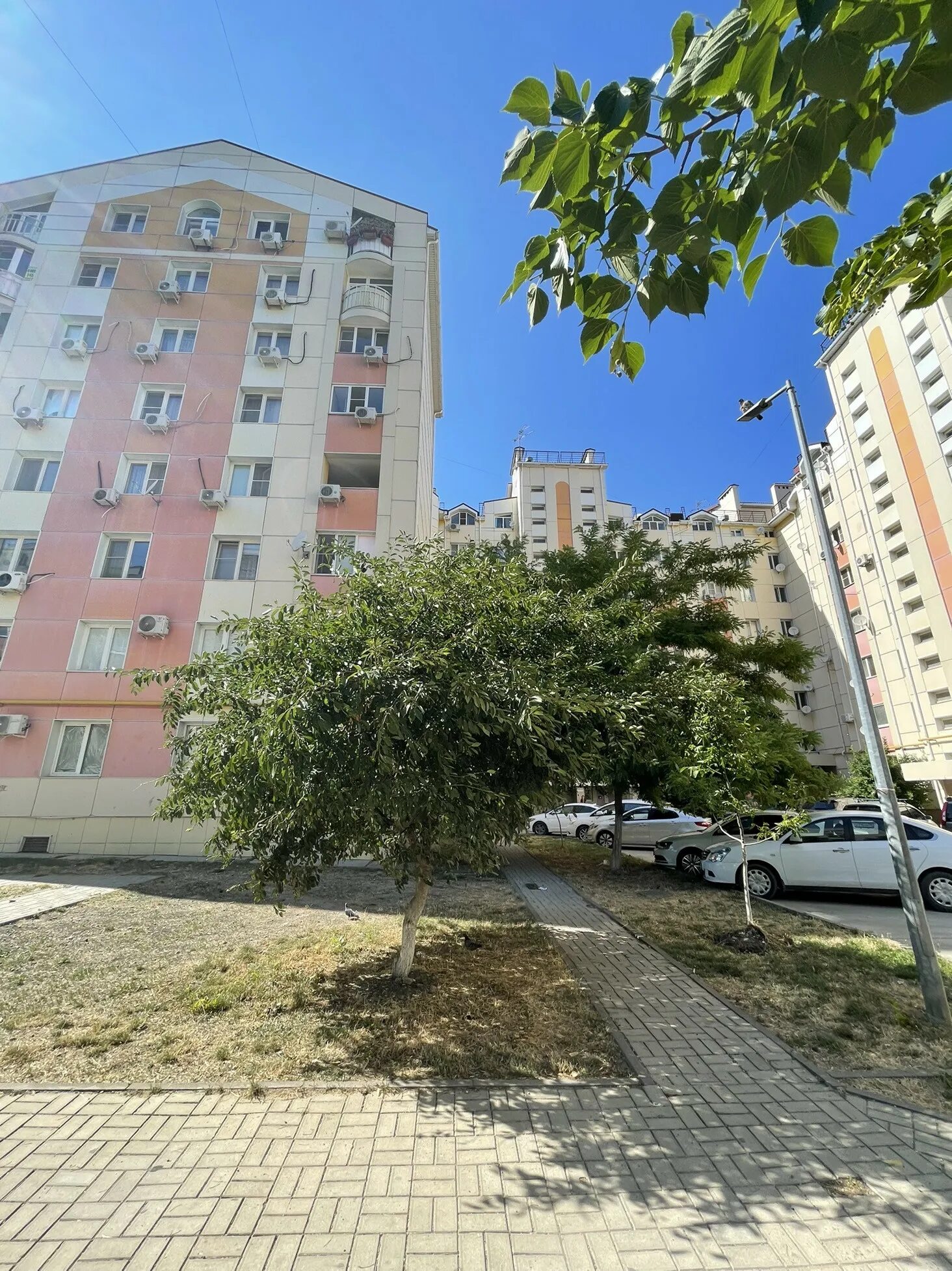 В Анапе продолжается благоустройство сквера на бульваре Евскина Новости Анапы