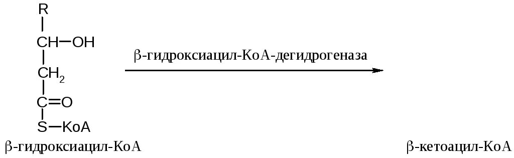 Коа 5. Гидроксиацил КОА. Гидроксиацил-КОА дегидрогеназа. Кетоацил КОА. Бета гидроксиацил КОА.