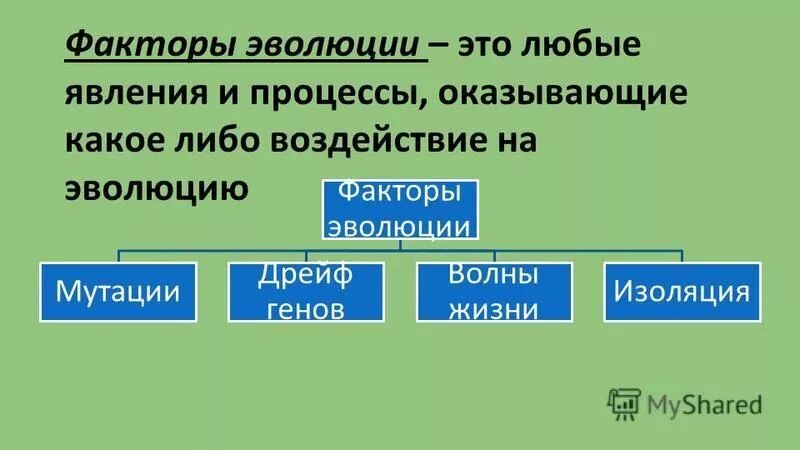 Изолированная жизнь. Факторы эволюции мутации. Изоляция это фактор эволюции который. Факторы эволюции схема. Факторы эволюции таблица.