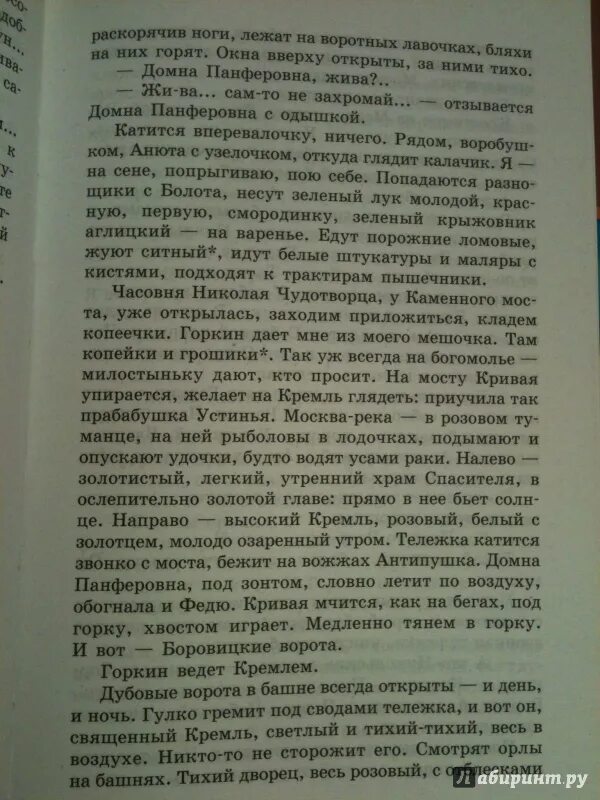 Вопросы страх Шмелева. Краткий пересказ страх Шмелев. Произведение страх Шмелев Антипушка.