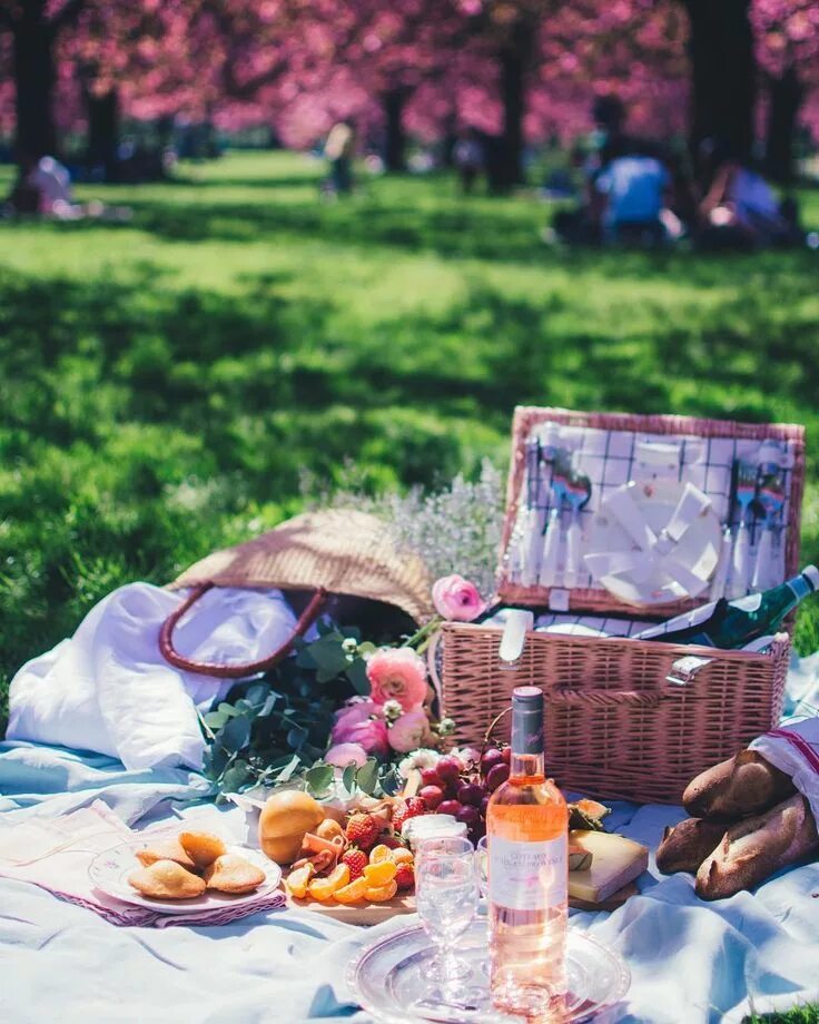 You are having a picnic