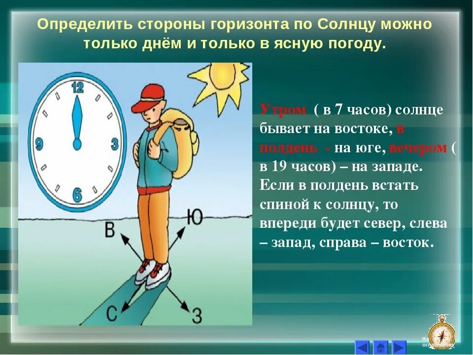 В 12 часов дня какая. Определение сторон горизонта по солнцу. Как определить стороны горизонта по солнцу. Определение сторон горизонта по солнцу и часам. Как определить стороны света по солнцу.