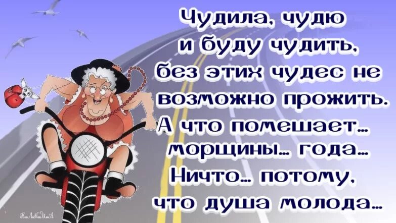 И стар да весел. Стихи весёлые о возрасте. Шуточные открытки про старость. Смешные приколы про Возраст. Чудила и буду чудить.