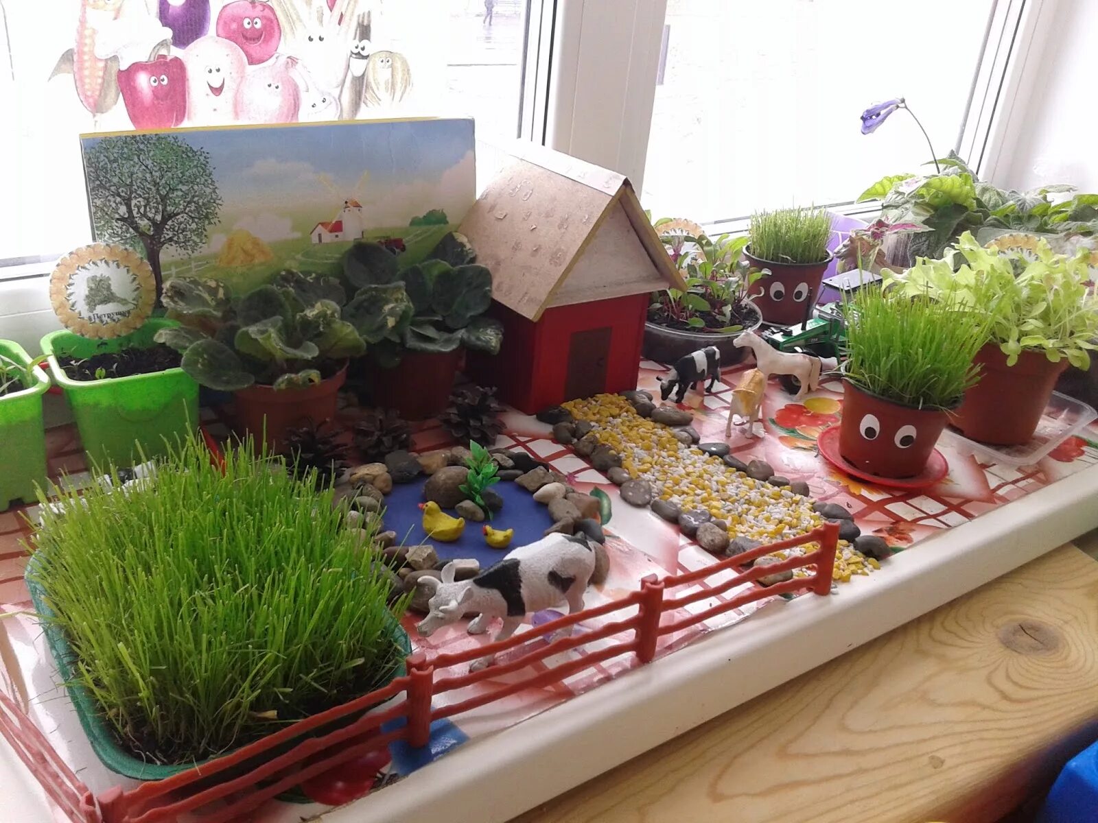 детский мини огород. огород на подоконнике в детском. огород на подоконнике. огород в детском саду. детский огород в детском саду.