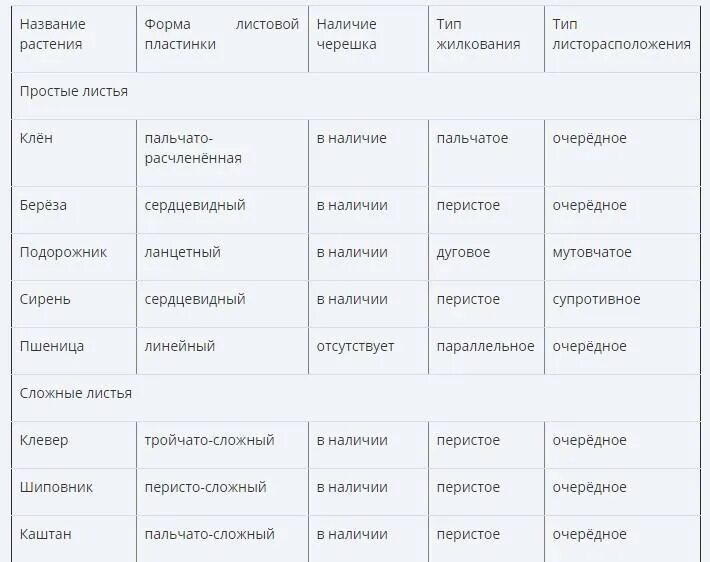Название растения листья простые. Название растения листья простые или сложные жилкование. Листья простые или сложные жилкование листорасположение. Название растения простые или сложные жилкование листорасположение. Таблица название растения листья простые или сложные.