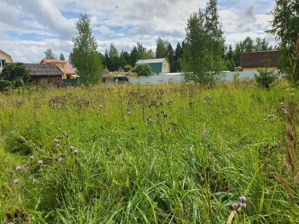 Участок снт. Деревня глазово рузское водохранилище. Днт орешек московская область. Участки в снт рузское. Рузская долина участки.