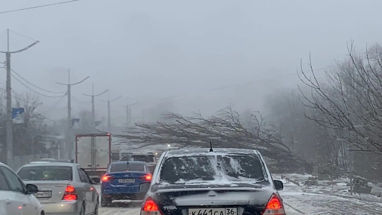 Ураган в Новороссийске. Норд-ОСТ В Новороссийске. Норд ОСТ Новороссийск 2023. Ситуация в Новороссийске.