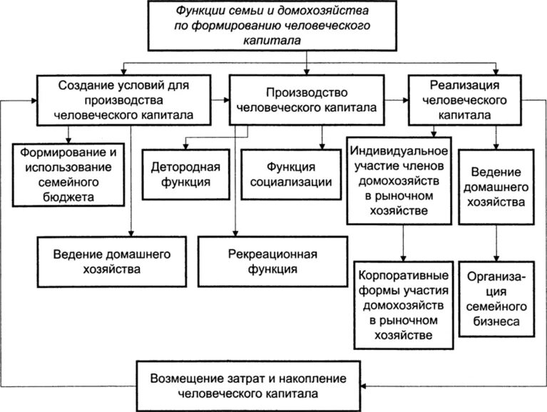 Экономические роли домохозяйств. Домашние хозяйства функции. Экономические функции домашнего хозяйства. Экономические функции домохозяйства. Функции семьи формирование человеческого капитала.