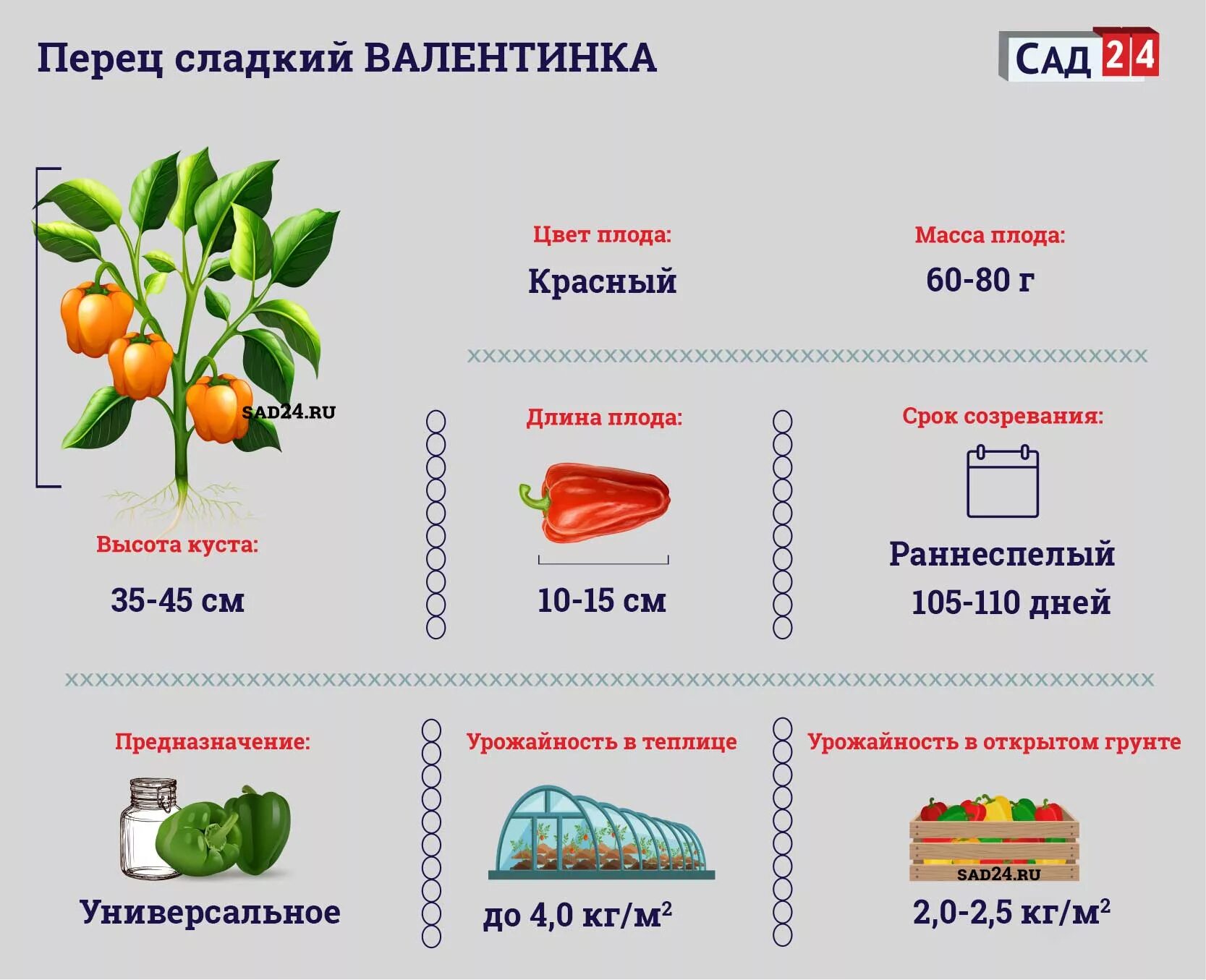 Сорт Рамиро перец сладкий. Перец сладкий Аллар f1. Перец Рамиро описание и характеристики. Перец золотой лапоть характеристика и описание. Перец группа растений