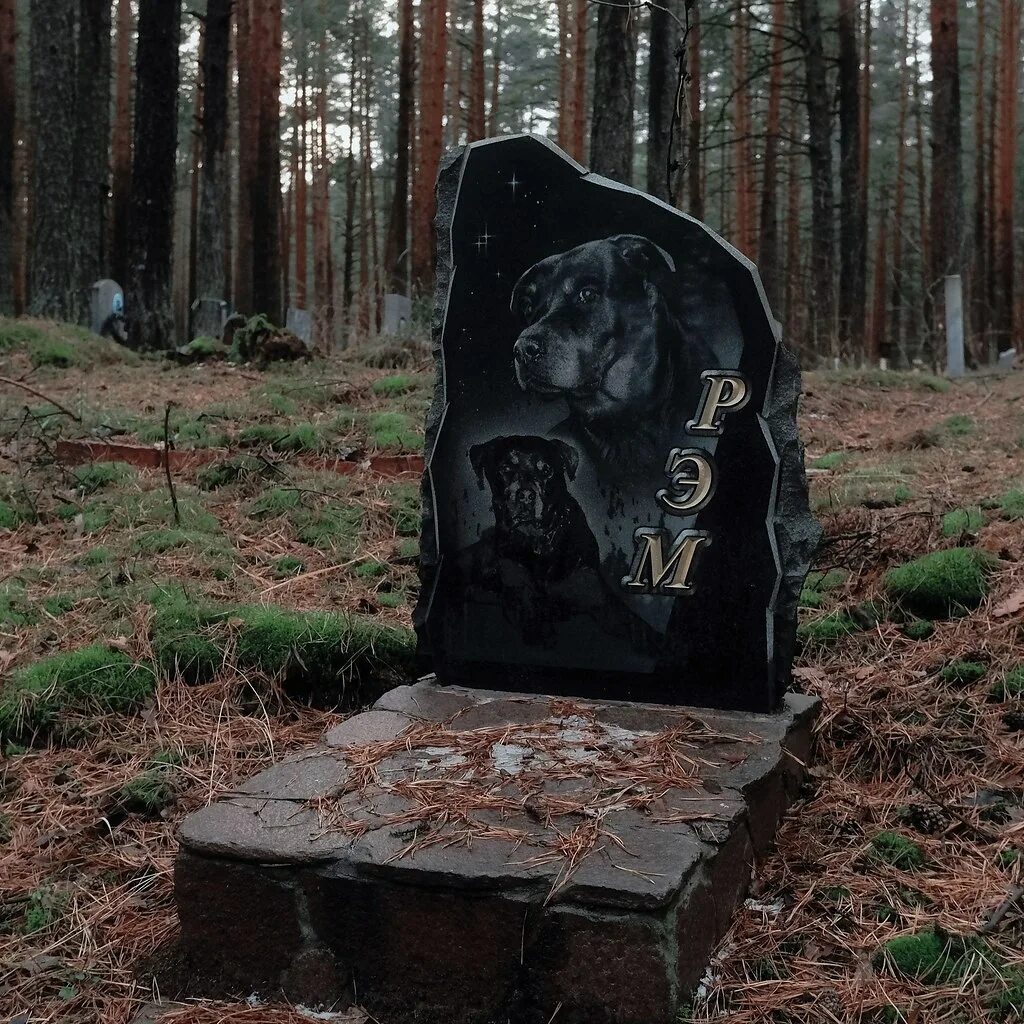 Могилы животных. Кладбище домашних животных могилы. собачье кладбище липецк. кладбище животных в перми. кладбище домашних животных пермь курья.