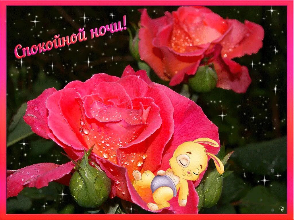 Спокойной ночи. Доброй ночи с розами и пожеланиями. Спокойной ночи цветы. Доброй ночи цветы пожелания.