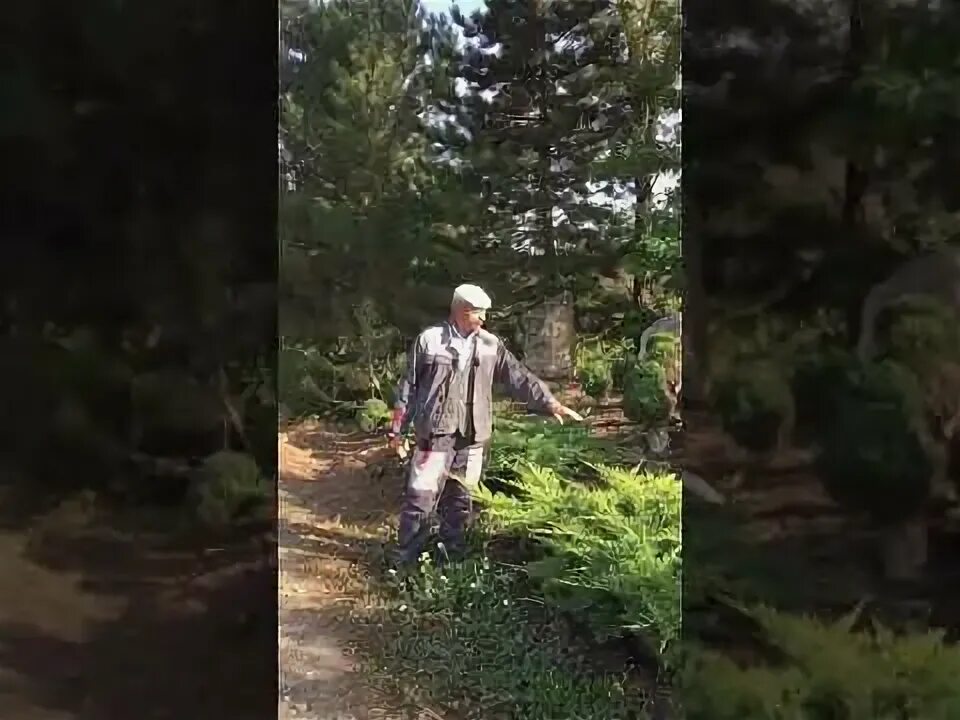 Кфх манаков. Кфх манаков ставропольский край пос рыздвяный. манаков саженцы рыздвяный. фермерское хозяйство манаков. рыздвяный питомник манакова.