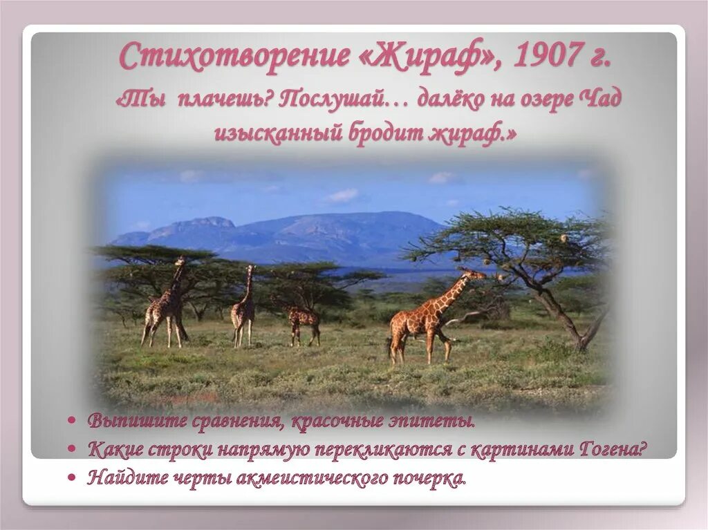 Гумилев Чад Жираф. Жираф на озере Чад стихотворение. Далеко на озере Чад изысканный бродит Жираф стихотворение. Озеро Чад стихотворение Гумилева Жираф. Мысль стихотворения жираф