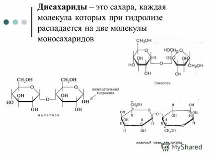 Дисахариды это