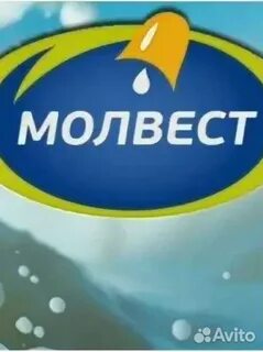 Молвест тендеры