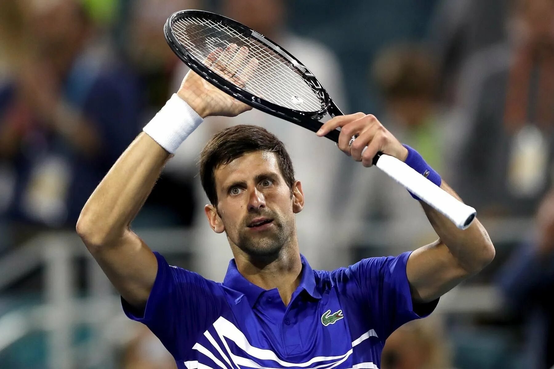 Новак джокович. Большой теннис djokovic. Джокович вики. Новак джокович теннис 2023. Джокович надаль 2018 уимблдон.