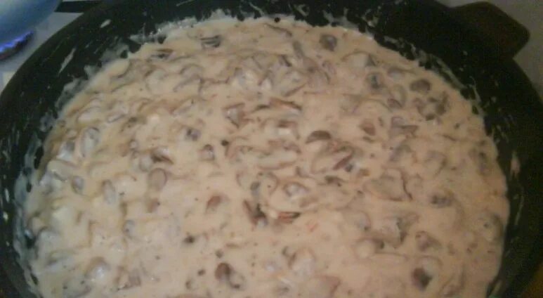 Картошка с грибным соусом. Грибы с молоком на сковороде. Грибы на молоке на сковороде рецепт. Грибы в сметанном соусе. Соломоны рецепт из курицы.