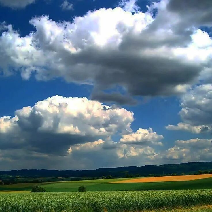 Cloud field. Cloud field