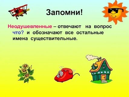 Одушевленные и неодушевленные вопросы