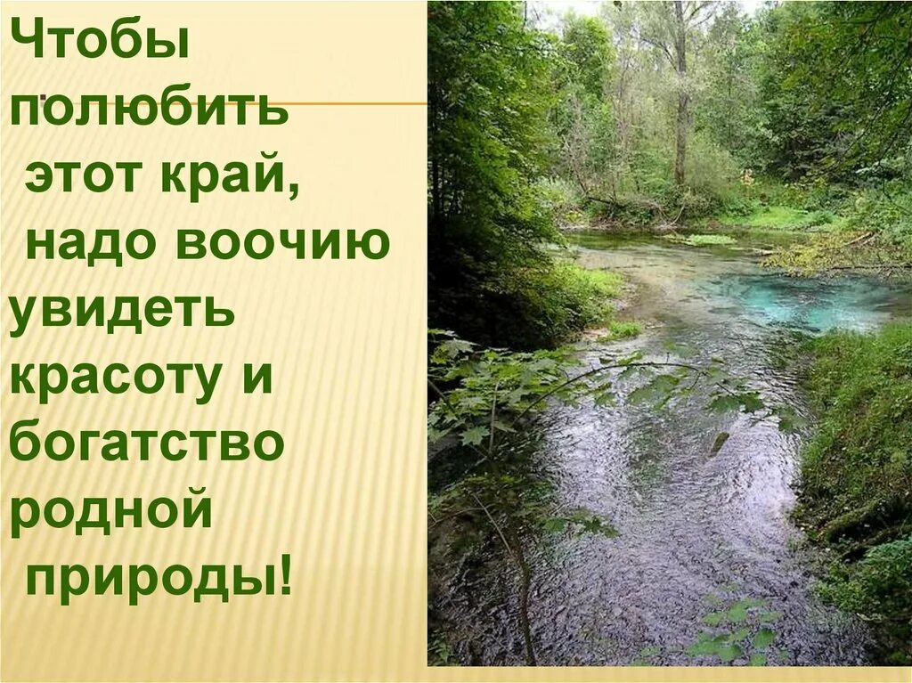 Воочую или воочию как правильно писать. Богатство родной природы. красота и богатство края. воочию. увидеть воочию.