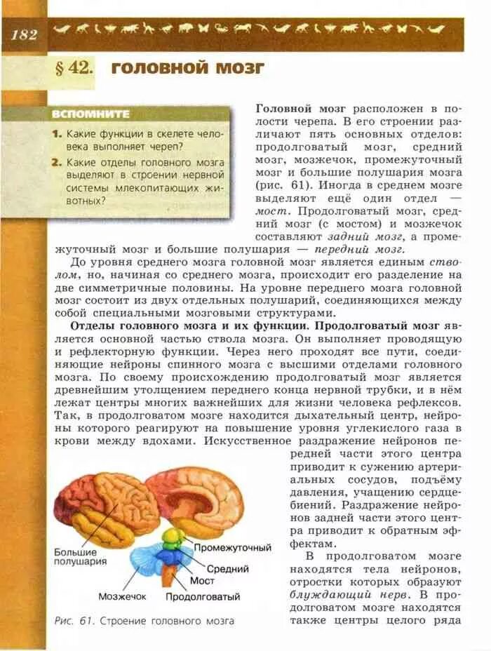 Биология 8 класс пасечник уроки биологии. Головной мозг учебник биологии 8 класс. Строение головного мозга 8 класс биология Пасечник. Строение головного мозга учебник биологии 8 класс. Учебник по биологии 8 класс Пасечник Каменский.