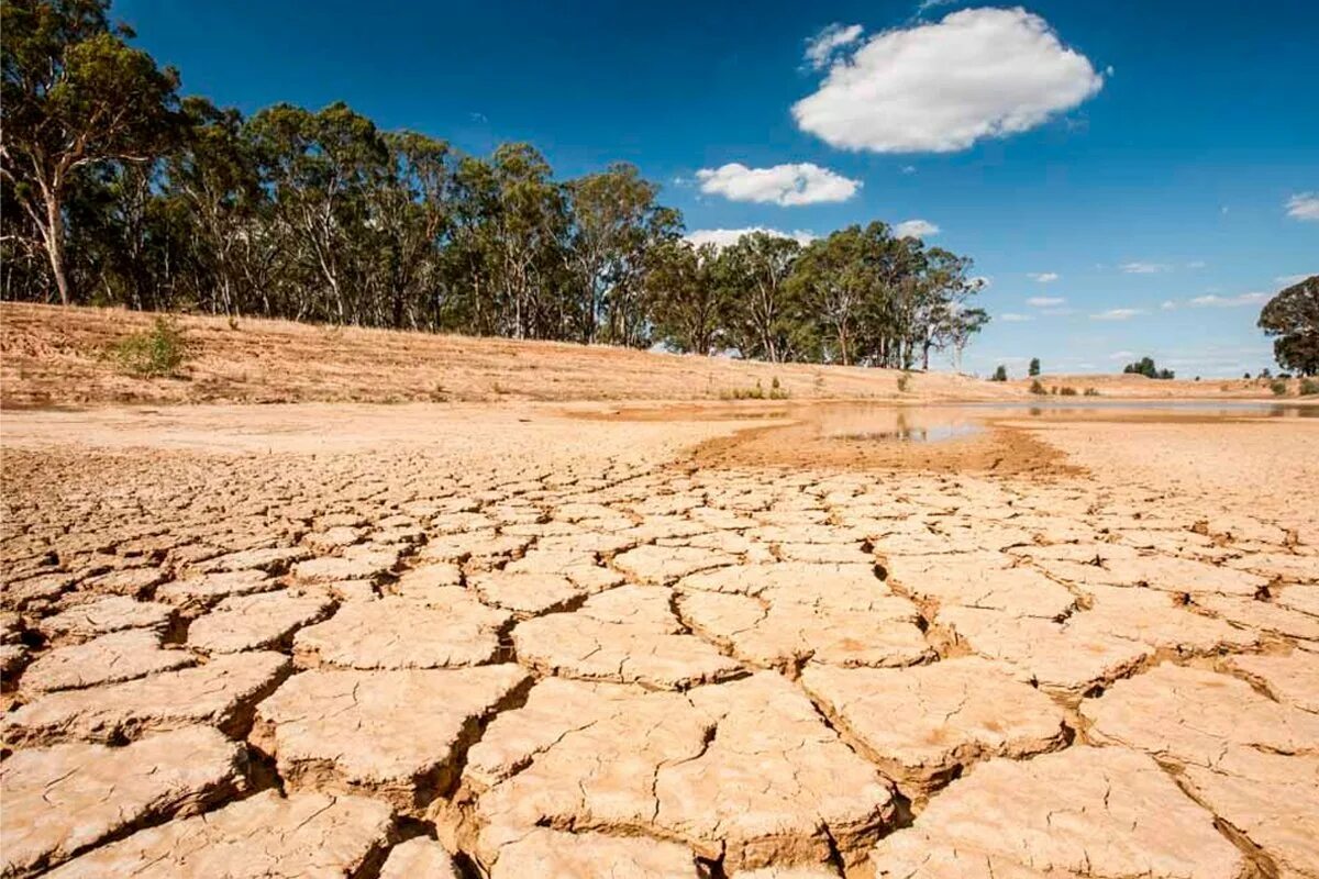 Занимает территории с засушливым климатом. Тропический сухой климат Австралии. Засушливость климата Австралии. Засуха в Австралии. Сухой климат.