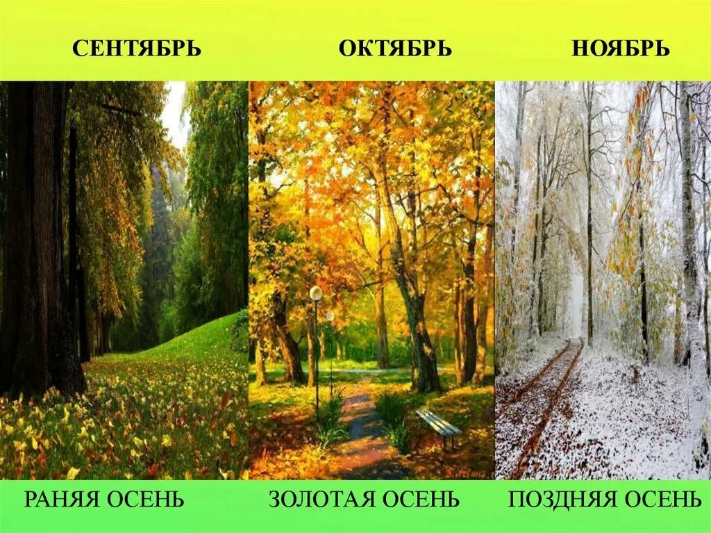Сентябрь октябрь ноябрь это осенние месяцы. Сентябрь октябрь ноябрь. ранняя и поздняя осень. осень ранняя золотая поздняя презентация. презентация для детей ранняя и поздняя осень.