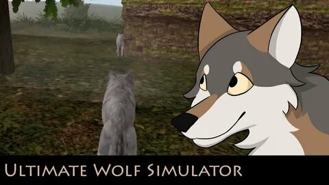 Wolf adventures