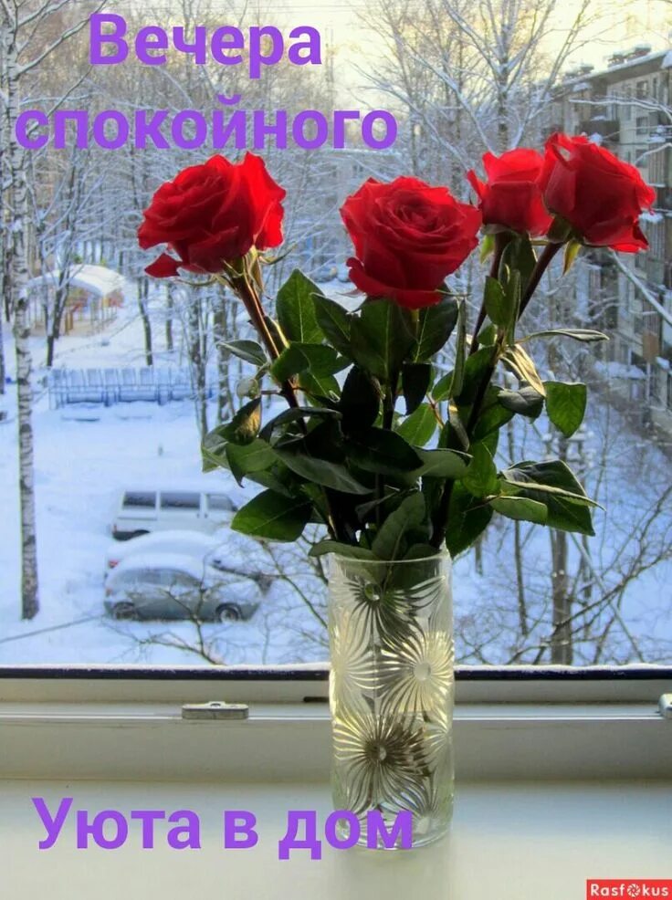Филиал удалён в Москве - отзыв и оценка - Ekaterina Shtro