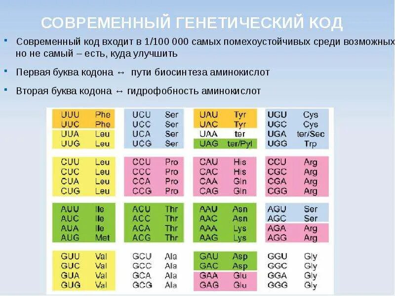 Где в генетическом коде