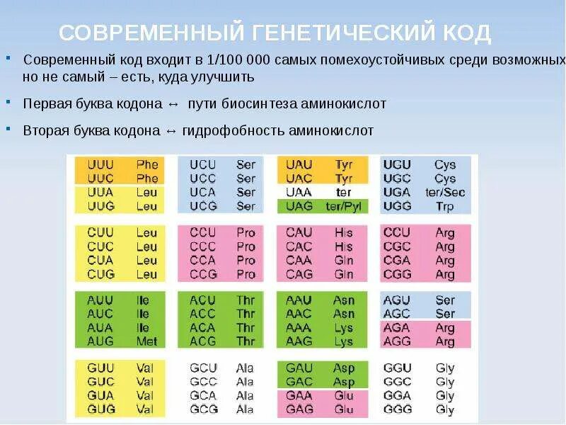 Белковый код. Генетический код. Происхождение генетического кода. Неперекрываемость генетического кода это. Полярность генетического кода.