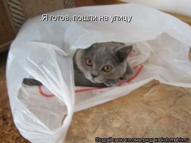 Марлон брандо корлеоне. Ты готов к егэ плакат. Шутки про давида. Готово мем. А ты готов к егэ.