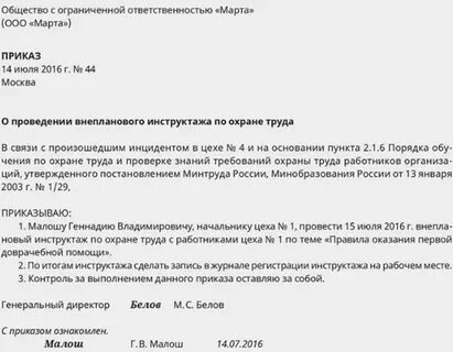 Приказ о проведении внепланового инструктажа 2024