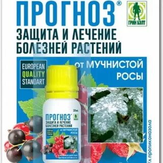 Индиго препарат от болезней